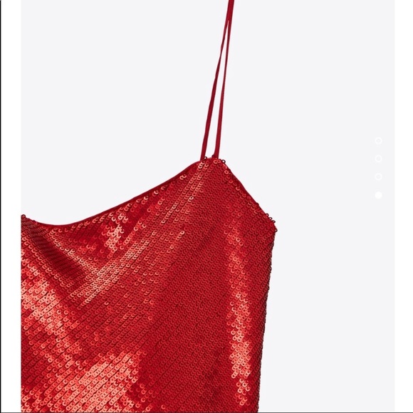 New with tags, beautiful dress ZARA SEQUIN DRESS - Picture 11 of 17